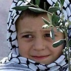 صورة محمد بن أبي عامر