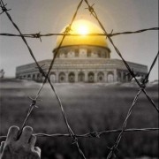 صورة أحمد عسَّاف