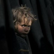 صورة عمار أيمن