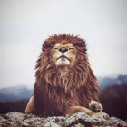 صورة رحاب خالد