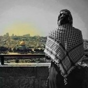 صورة آلاء أحمد