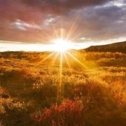 صورة ثائر أنيس حوراني