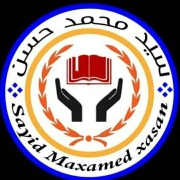 صورة سيد محمد حسن
