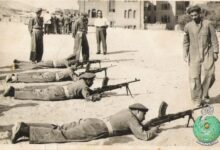 النظام الخاص