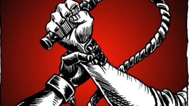 ولي الأمر المسلمين