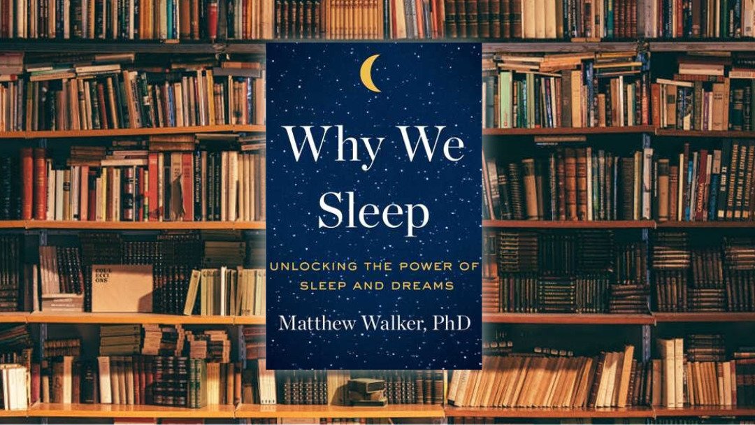 لمحة سريعة حول كتاب Why we sleep "لماذا ننام"، أهم كتاب ستقرأه هذا العام