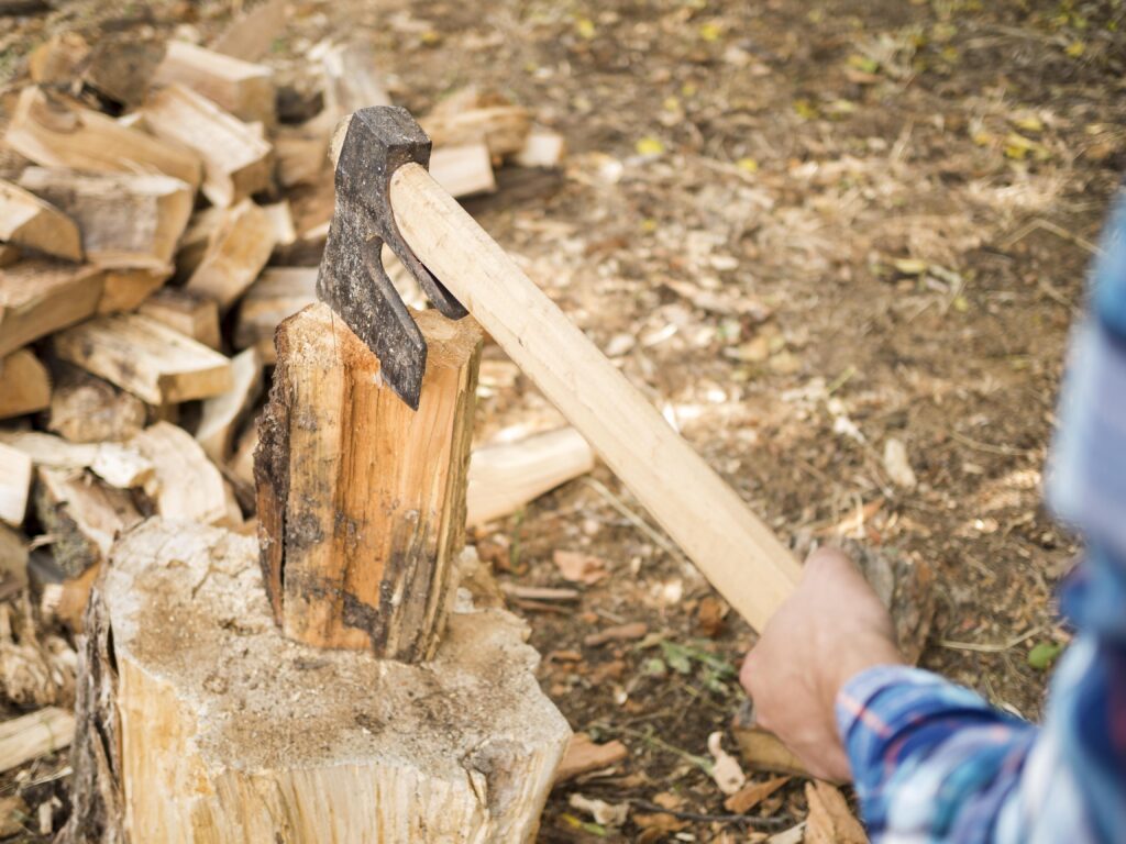 جمع الحطب للخروج من الفقر